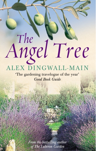 Book cover of The Angel Tree by Alex Dingwall-Main