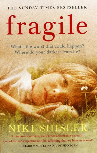 Book cover of Fragile by Niki Shisler