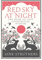 Book cover of Red Sky at Night by Jane Struthers