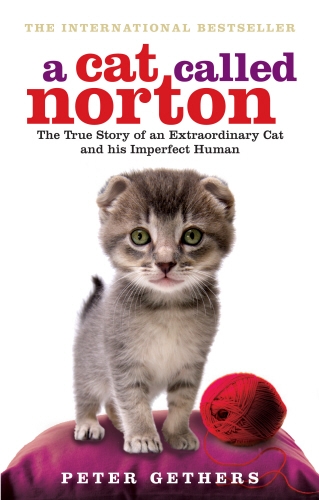 Book cover of A Cat Called Norton by Peter Gethers