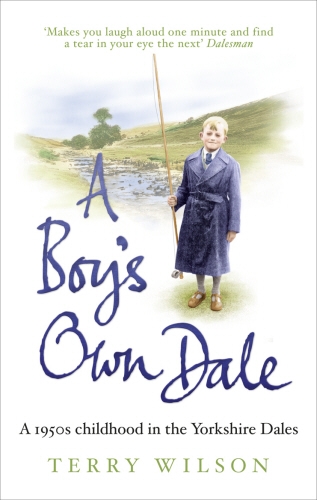 Book cover of A Boy's Own Dale by Terry Wilson