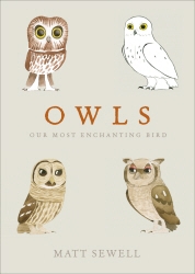 Book cover of Owls by Matt Sewell
