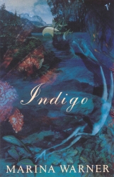Book cover of Indigo Or Mapping The Waters by Marina Warner