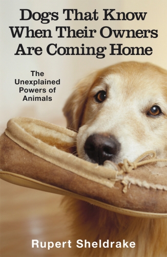 Book cover of Dogs That Know When Their Owners Are Coming Home by Rupert Sheldrake