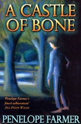 Book cover of A Castle Of Bone by Penelope Farmer
