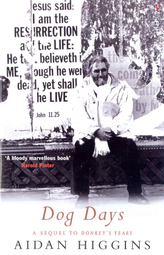 Book cover of Dog Days by Aidan Higgins