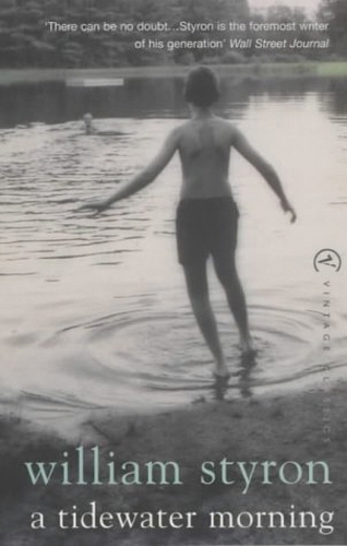 Book cover of A Tidewater Morning by William Styron