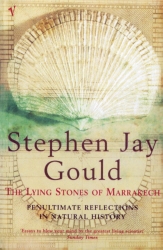 Book cover of The Lying Stones of Marrakech by Stephen Jay Gould