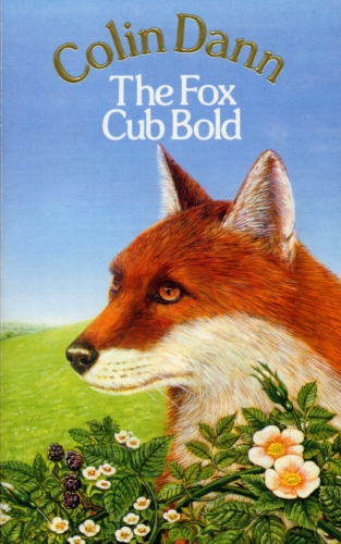 Book cover of The Fox Cub Bold by Colin Dann