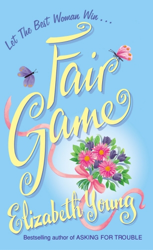 Book cover of Fair Game by Liz Young