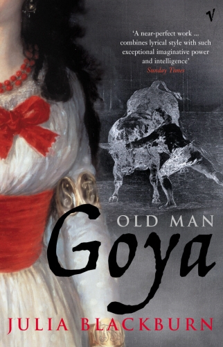 Book cover of Old Man Goya by Julia Blackburn