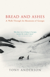 Book cover of Bread And Ashes by Tony Anderson