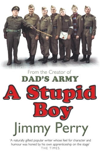 Book cover of A Stupid Boy by Jimmy Perry
