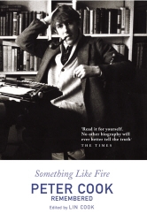 Book cover of Something Like Fire by Lin Cook