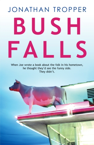 Book cover of Bush Falls by Jonathan Tropper