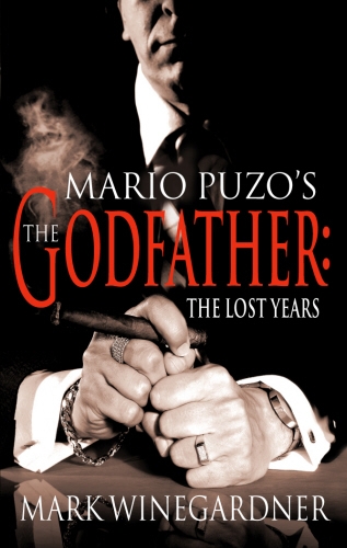 Book cover of The Godfather: The Lost Years by Mark Winegardner