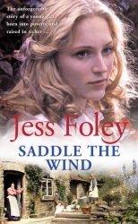 Book cover of Saddle The Wind by Jess Foley
