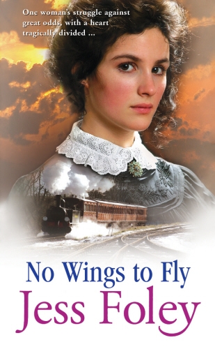 Book cover of No Wings To Fly by Jess Foley