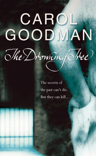 Book cover of The Drowning Tree by Carol Goodman