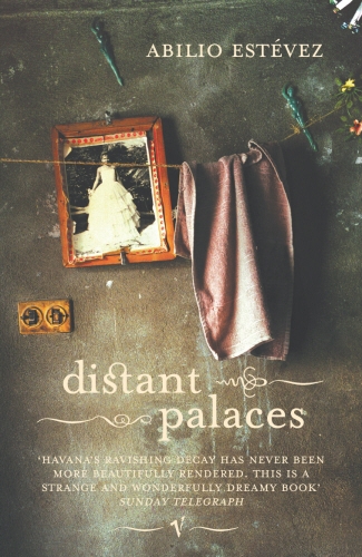 Book cover of Distant Palaces by Abilio Estévez