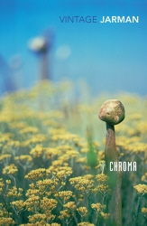 Book cover of Chroma by Derek Jarman
