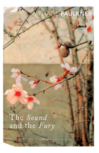 Book cover of The Sound and the Fury by William Faulkner