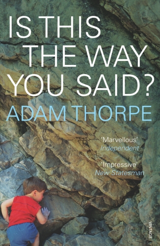 Book cover of Is This The Way You Said? by Adam Thorpe
