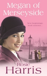 Book cover of Megan of Merseyside by Rosie Harris