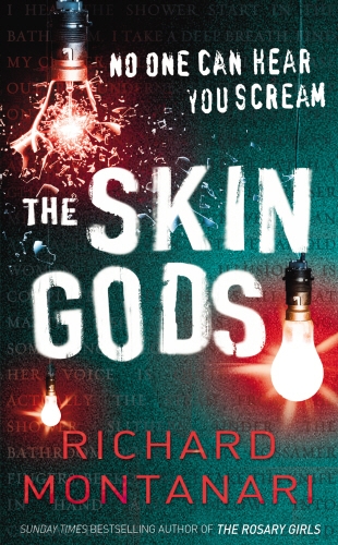 Book cover of #2 - The Skin Gods by Richard Montanari