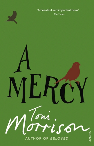 Book cover of A Mercy by Toni Morrison