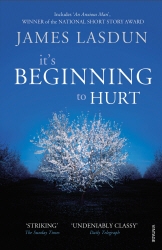 Book cover of It's Beginning To Hurt by James Lasdun