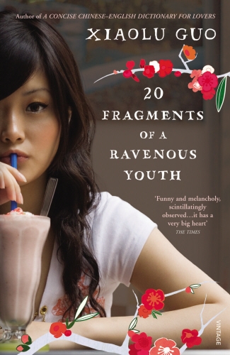 Book cover of 20 Fragments of a Ravenous Youth by Xiaolu Guo
