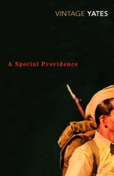 Book cover of A Special Providence by Richard Yates