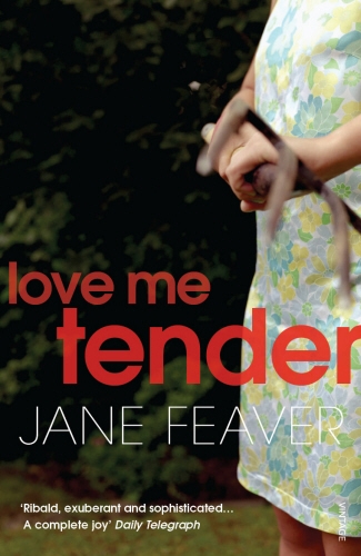 Book cover of Love Me Tender by Jane Feaver