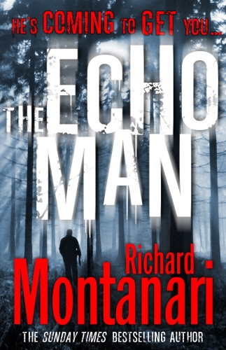 Book cover of #5 - The Echo Man by Richard Montanari