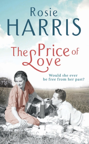 Book cover of The Price of Love by Rosie Harris