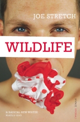 Book cover of Wildlife by Joe Stretch