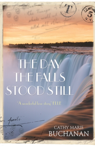 Book cover of The Day the Falls Stood Still by Cathy Marie Buchanan