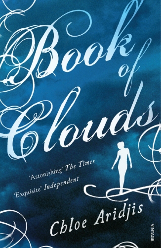 Book cover of Book of Clouds by Chloe Aridjis