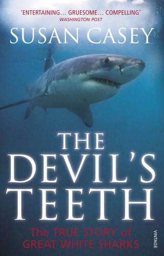 Book cover of The Devil's Teeth by Susan Casey