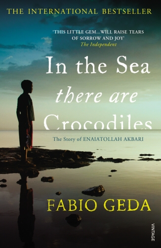 Book cover of In the Sea There Are Crocodiles by Fabio Geda