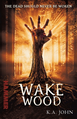 Book cover of Wake Wood by KA John