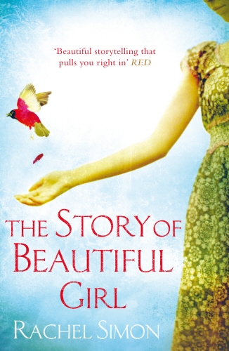 Book cover of The Story of Beautiful Girl by Rachel Simon