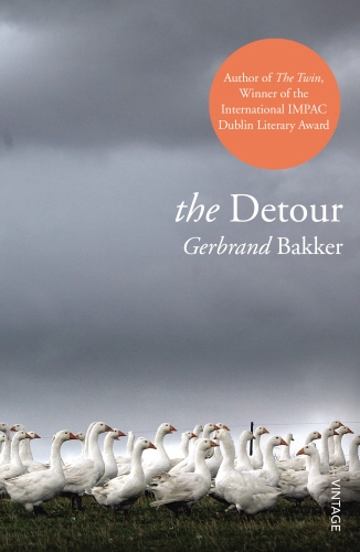 Book cover of The Detour by Gerbrand Bakker