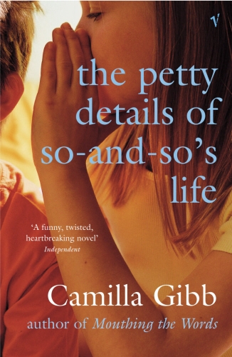 Book cover of The Petty Details of So-and-So's Life by Camilla Gibb