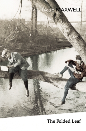 Book cover of The Folded Leaf by William Maxwell