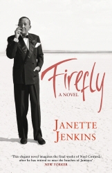 Book cover of Firefly by Janette Jenkins