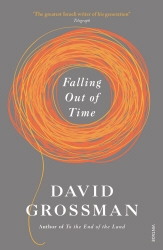Book cover of Falling Out of Time by David Grossman