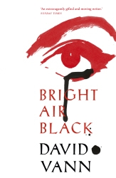 Book cover of Bright Air Black by David Vann