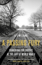 Book cover of A Passing Fury by A. T. Williams